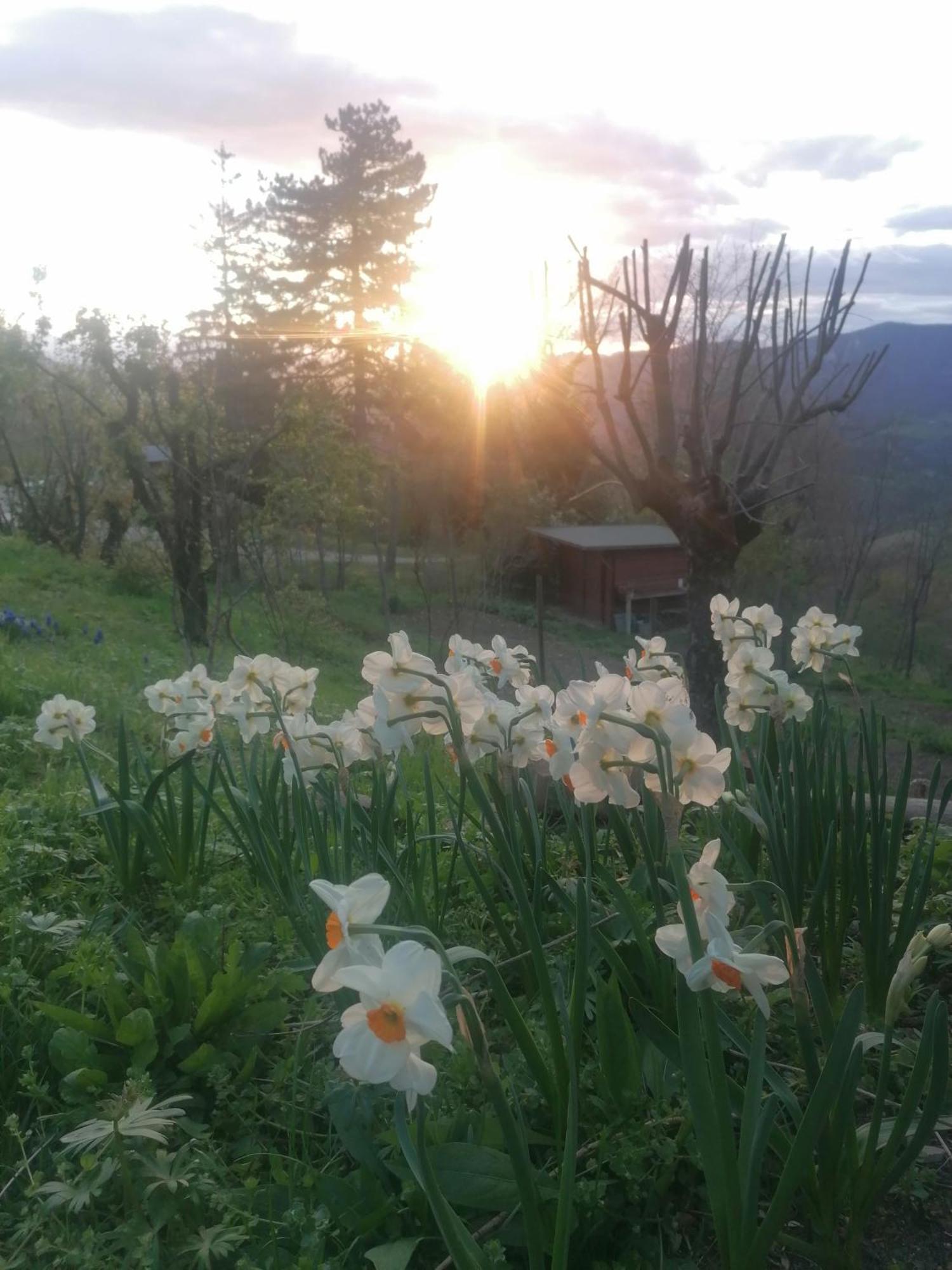 Bed and Breakfast Ca' Dei Ste Valle  Esterno foto